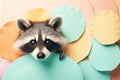 Cute portrait of a raccoon peeking out on a colored background, mockup Royalty Free Stock Photo