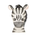 Cute portrait zebra head in cartoon style. Drawing african baby wild face isolated on white background. Watercolor sweet