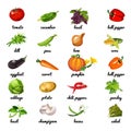 Cute poster on topic of healthy diet. Vegetables and herbs are rich in fiber. Sample card, cover for cookbook or manual