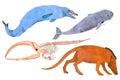 Cute prehistoric animals predecessors of the whale marker illustration. Royalty Free Stock Photo