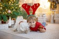 Cute preschool child, blond boy with pet dog, playing in decorated Christmas room Royalty Free Stock Photo