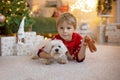 Cute preschool child, blond boy with pet dog, playing in decorated Christmas room Royalty Free Stock Photo