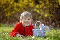 Cute preschool child, boy, holding handmade braided whip made from pussy willow, traditional symbol of Czech Easter used for