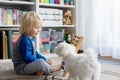 Cute preschool child, playing with abacus at home, little pet dog playing around