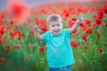 Cute preschool child in poppy field, holding a bouquet of wild flowers, smiling Royalty Free Stock Photo