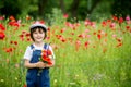 Cute preschool child in poppy field, holding a bouquet of wild flowers Royalty Free Stock Photo