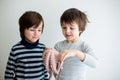 Cute preschool children, boy brothers, holding raw octopus Royalty Free Stock Photo