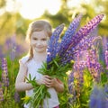 Cute preschooler girl in blooming lupine field