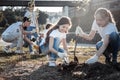 Cute pretty girls planting trees Royalty Free Stock Photo