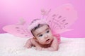 Cute, pretty, happy, chubby and baby girl, with pink butterfly wings Royalty Free Stock Photo