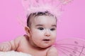 Cute, pretty, happy, chubby and smiling baby girl portrait, with pink butterfly wings Royalty Free Stock Photo