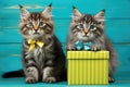 Cute pretty kittens couple with gift box for birthday gift or valentine\'s day greeting card Royalty Free Stock Photo