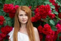 Cute pretty redhead girl dressed in a white light dress on a background of blooming roses. Outdoor