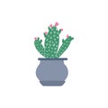 Cute prickly green cactus in pots. Houseplant in doodle style