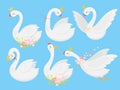Cute princess swan. Beautiful white swans in gold crown, cartoon goose bird and duckling vector illustration set Royalty Free Stock Photo