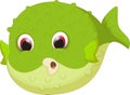 Cute puffer fish cartoon Royalty Free Stock Photo