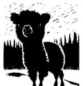 Cute puffy alpaca llama on meadow in front of forest. Black and white vector silhouette illustration. Cartoon style Royalty Free Stock Photo