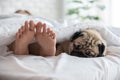 Cute pug dog breed lying on blanket on white bed in bedroom smile with funny face and feeling so happiness with owner