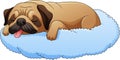 Cute pug dog cartoon sleeping on the pillow Royalty Free Stock Photo