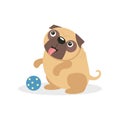 Cute pug dog character playing with a ball, pet dog cartoon vector Illustration Royalty Free Stock Photo