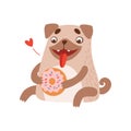 Cute Pug Dog Eating Donut, Funny Friendly Animal Pet Character Vector Illustration Royalty Free Stock Photo