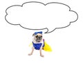 Cute Pug Dog with the empty cloud bubble above her head, isolated on white with costume With Clipping path on Dog Royalty Free Stock Photo