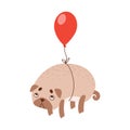 Cute Pug Dog Flying with Red Balloon, Funny Friendly Animal Pet Character Vector Illustration