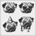 Cute Pug Dog Portrait With Holiday Attributes. Print Design For T-shirts. Template For Pets Shop Design.