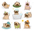 Cute pug dog set. Hand drawn pug stickers isolated on white back