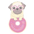 Cute pug dog vector flat character with red tongue and happy face on a blue background Royalty Free Stock Photo