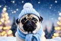 A cute pug dog in a winter, wearing a cozy blue scarf and hat, in a snowy landscape with a bokeh light effect Royalty Free Stock Photo