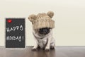 Cute pug puppy dog with bad monday morning mood, sitting next to blackboard sign with text happy monday, copy space Royalty Free Stock Photo