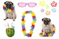 Cute pug puppy dog with colorful summer party elements