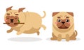 Cute Pug Running with Stick and Sitting Vector Set Royalty Free Stock Photo