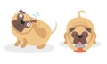 Cute Pug Scratching Head and Drinking Water Vector Set