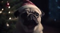 A cute pug wearing a Santa hat and sitting next to a Chri generative AI Royalty Free Stock Photo