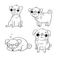 Cute Pugs. Dogs.