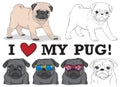 Cute pugs