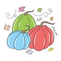 Cute and pretty Pumpkin vector illustration, with pink, blue and orange color