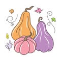 Cute and pretty Pumpkin vector illustration, with pastel color