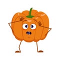 Cute pumpkin character with emotions in a panic grabs his head, face, arms and legs. The funny or sad hero, orange