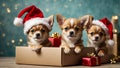 Cute puppies Chihuahua wearing Santa Claus red hat sit in the gift box Royalty Free Stock Photo