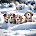 Cute puppies feeling cold - ai generated image Royalty Free Stock Photo