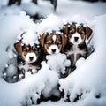 Cute puppies feeling cold - ai generated image Royalty Free Stock Photo