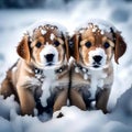 Cute puppies feeling cold - ai generated image Royalty Free Stock Photo