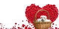 Cute puppies inside basket symbolizing care and love on white background for Valentines day. Symbols of love for Happy Women`s, Royalty Free Stock Photo