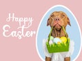 Cute puppy and a basket of Easter eggs Royalty Free Stock Photo