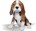 Cute puppy beagle breed vector illustration