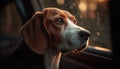 Cute puppy beagle looking at camera outdoors generated by AI