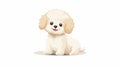 This is a cute puppy of the Bichon breed. It is a funny little toy dog that is a companion dog and it is fluffy and